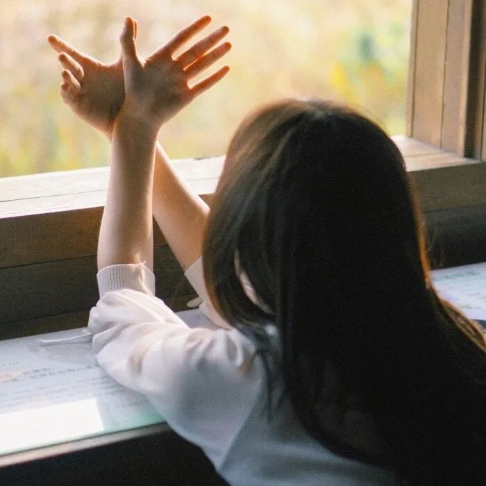 季总的替罪娇妻